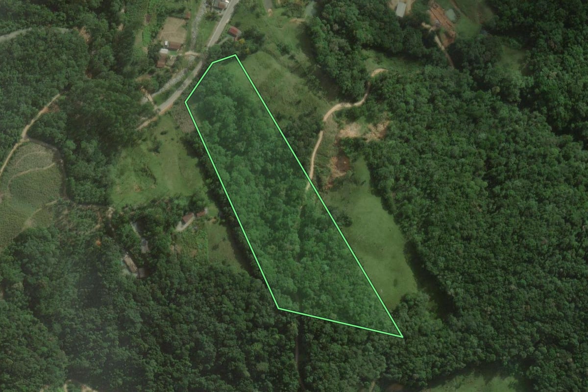 Imagem de satélite do imóvel rural em São Pedro de Alcântara (SC), com o contorno declarado no CAR desenhado por cima.