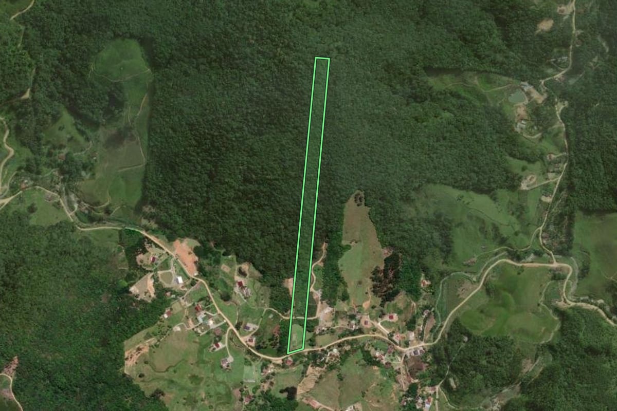 Imagem de satélite do imóvel rural em São Pedro de Alcântara (SC), com o contorno declarado no CAR desenhado por cima.