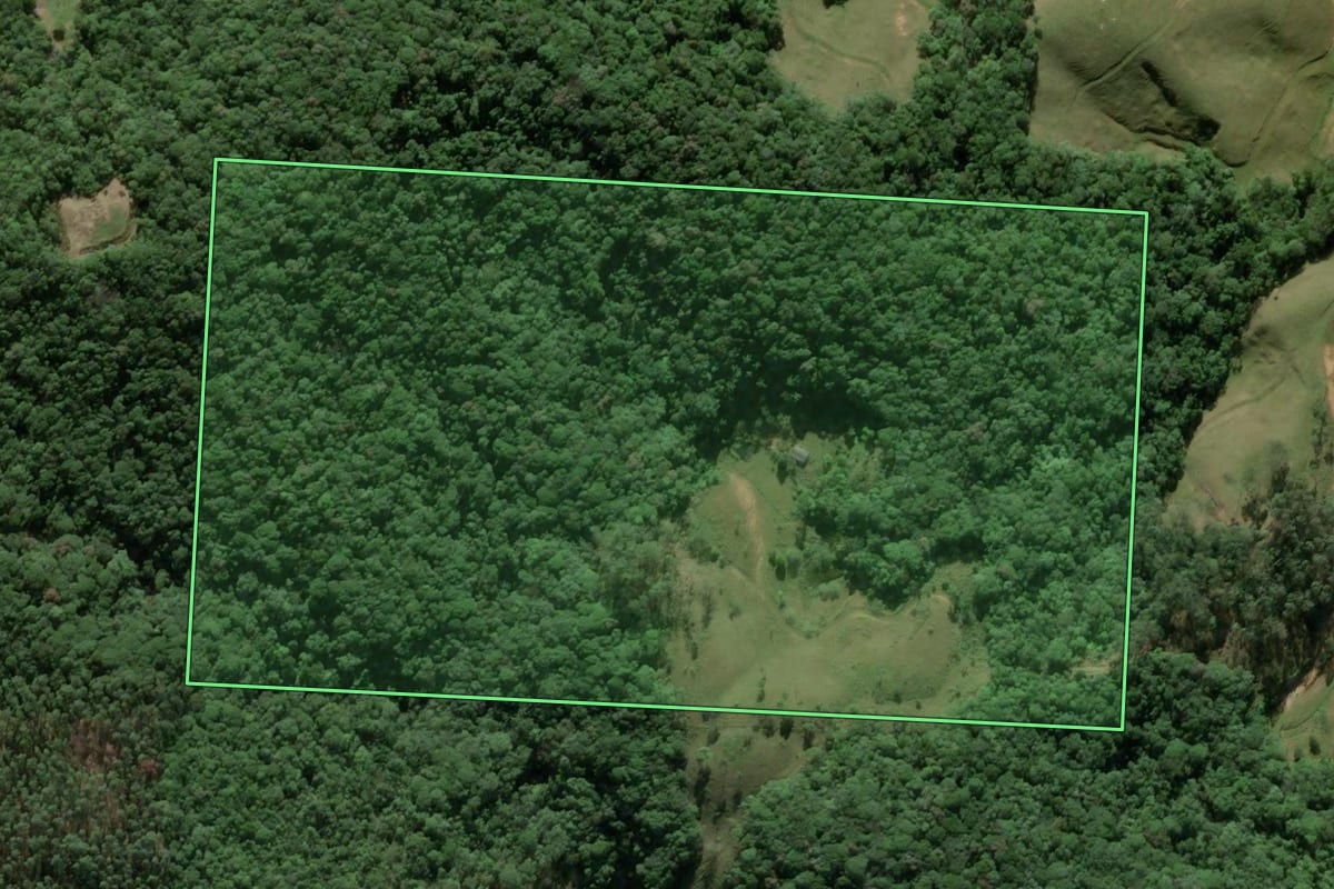 Imagem de satélite do imóvel rural em São Pedro de Alcântara (SC), com o contorno declarado no CAR desenhado por cima.