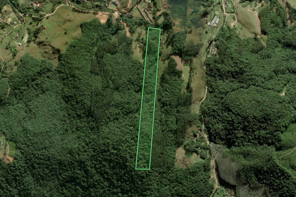 Imagem de satélite do imóvel rural em São Pedro de Alcântara (SC), com o contorno declarado no CAR desenhado por cima.
