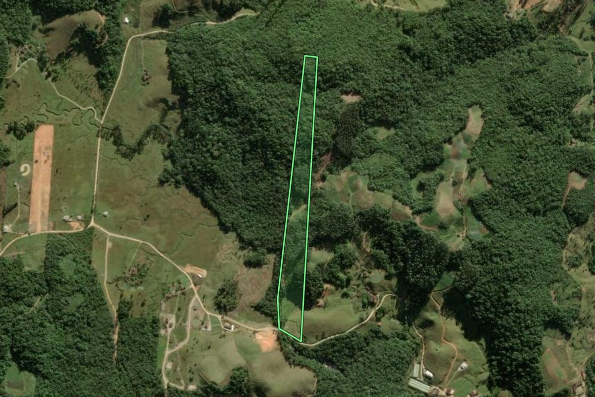 Imagem de satélite do imóvel rural em São Pedro de Alcântara (SC), com o contorno declarado no CAR desenhado por cima.