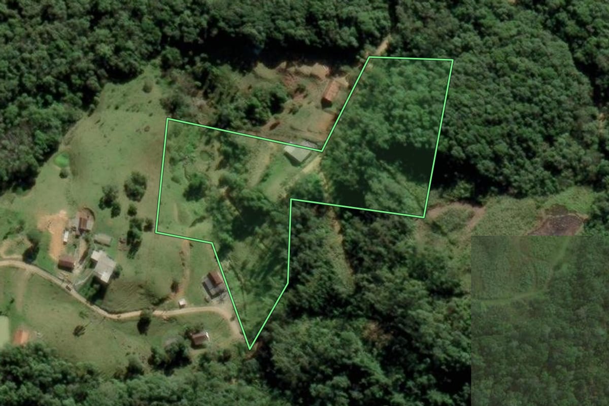 Imagem de satélite do imóvel rural em São Pedro de Alcântara (SC), com o contorno declarado no CAR desenhado por cima.