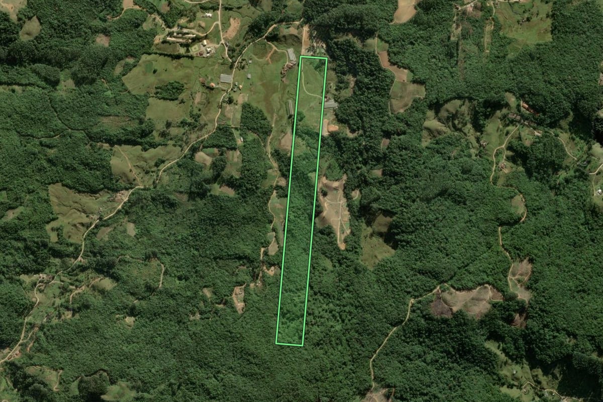 Imagem de satélite do imóvel rural em São Pedro de Alcântara (SC), com o contorno declarado no CAR desenhado por cima.