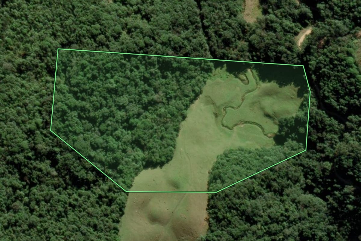 Imagem de satélite do imóvel rural em São Pedro de Alcântara (SC), com o contorno declarado no CAR desenhado por cima.