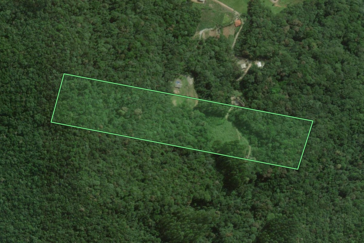 Imagem de satélite do imóvel rural em São Pedro de Alcântara (SC), com o contorno declarado no CAR desenhado por cima.