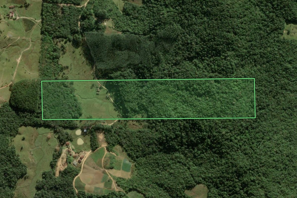 Imagem de satélite do imóvel rural em São Pedro de Alcântara (SC), com o contorno declarado no CAR desenhado por cima.