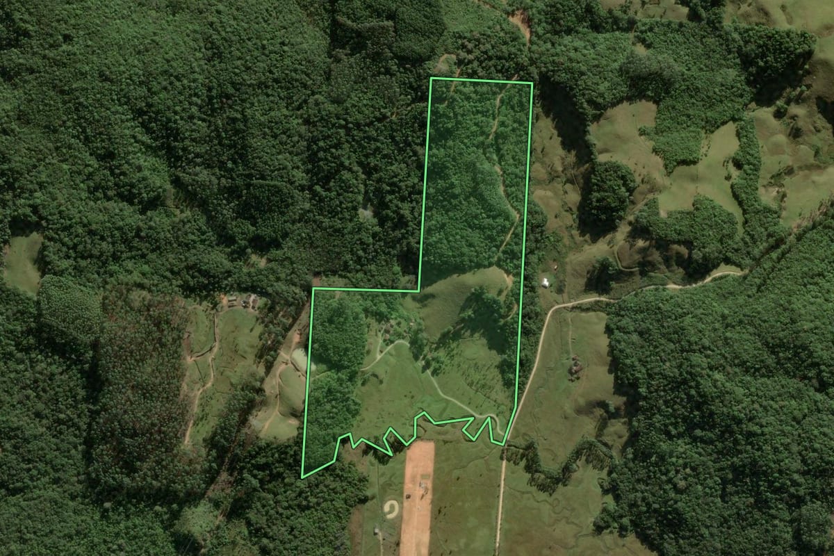 Imagem de satélite do imóvel rural em São Pedro de Alcântara (SC), com o contorno declarado no CAR desenhado por cima.