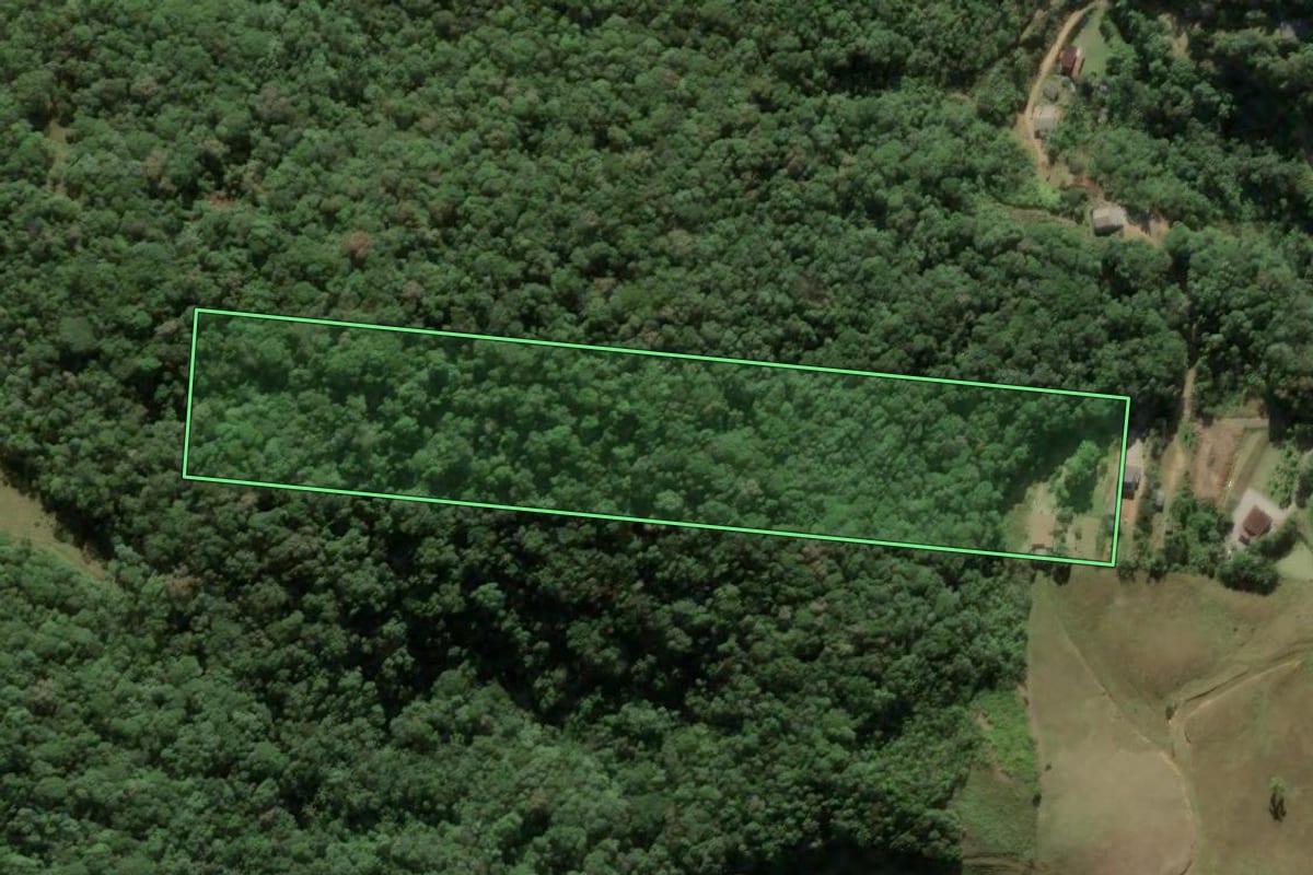 Imagem de satélite do imóvel rural em São Pedro de Alcântara (SC), com o contorno declarado no CAR desenhado por cima.