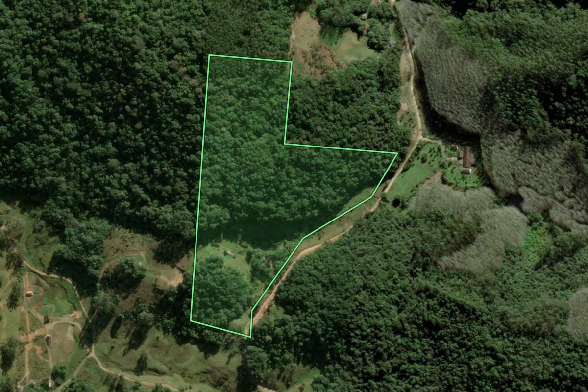 Imagem de satélite do imóvel rural em São Pedro de Alcântara (SC), com o contorno declarado no CAR desenhado por cima.