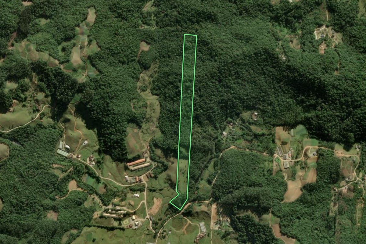 Imagem de satélite do imóvel rural em São Pedro de Alcântara (SC), com o contorno declarado no CAR desenhado por cima.