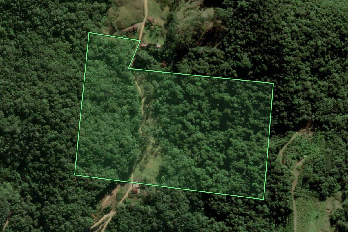 Imagem de satélite do imóvel rural em São Pedro de Alcântara (SC), com o contorno declarado no CAR desenhado por cima.