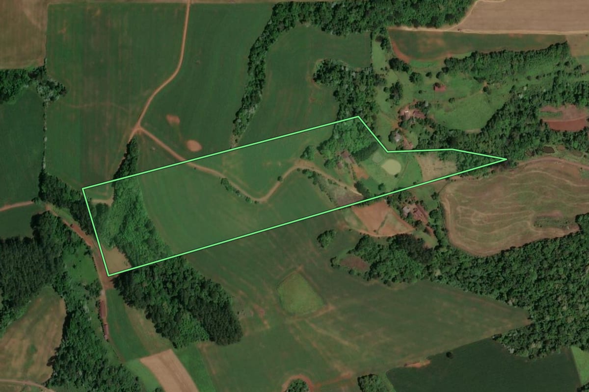 Imagem de satélite do imóvel rural em Saudades (SC), com o contorno declarado no CAR desenhado por cima.