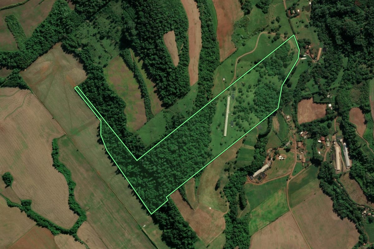 Imagem de satélite do imóvel rural em Saudades (SC), com o contorno declarado no CAR desenhado por cima.