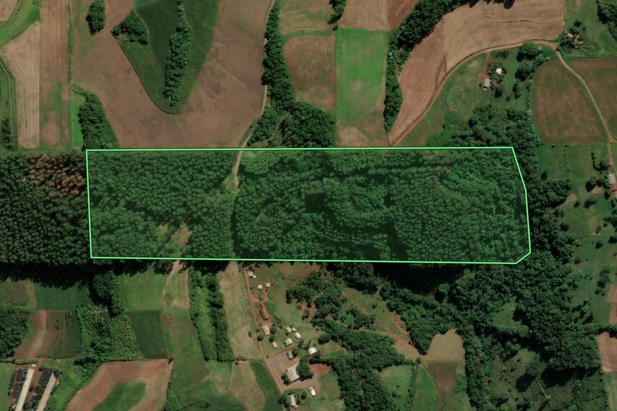 Imagem de satélite do imóvel rural em Saudades (SC), com o contorno declarado no CAR desenhado por cima.