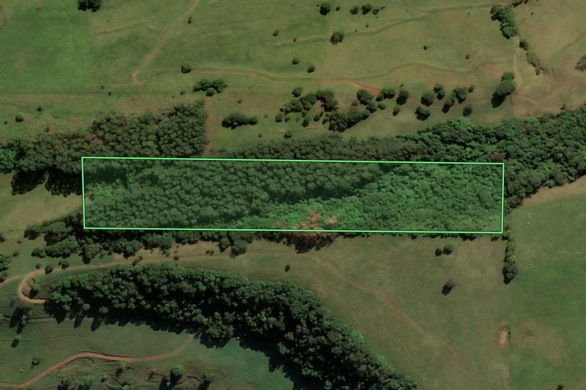 Imagem de satélite do imóvel rural em Saudades (SC), com o contorno declarado no CAR desenhado por cima.