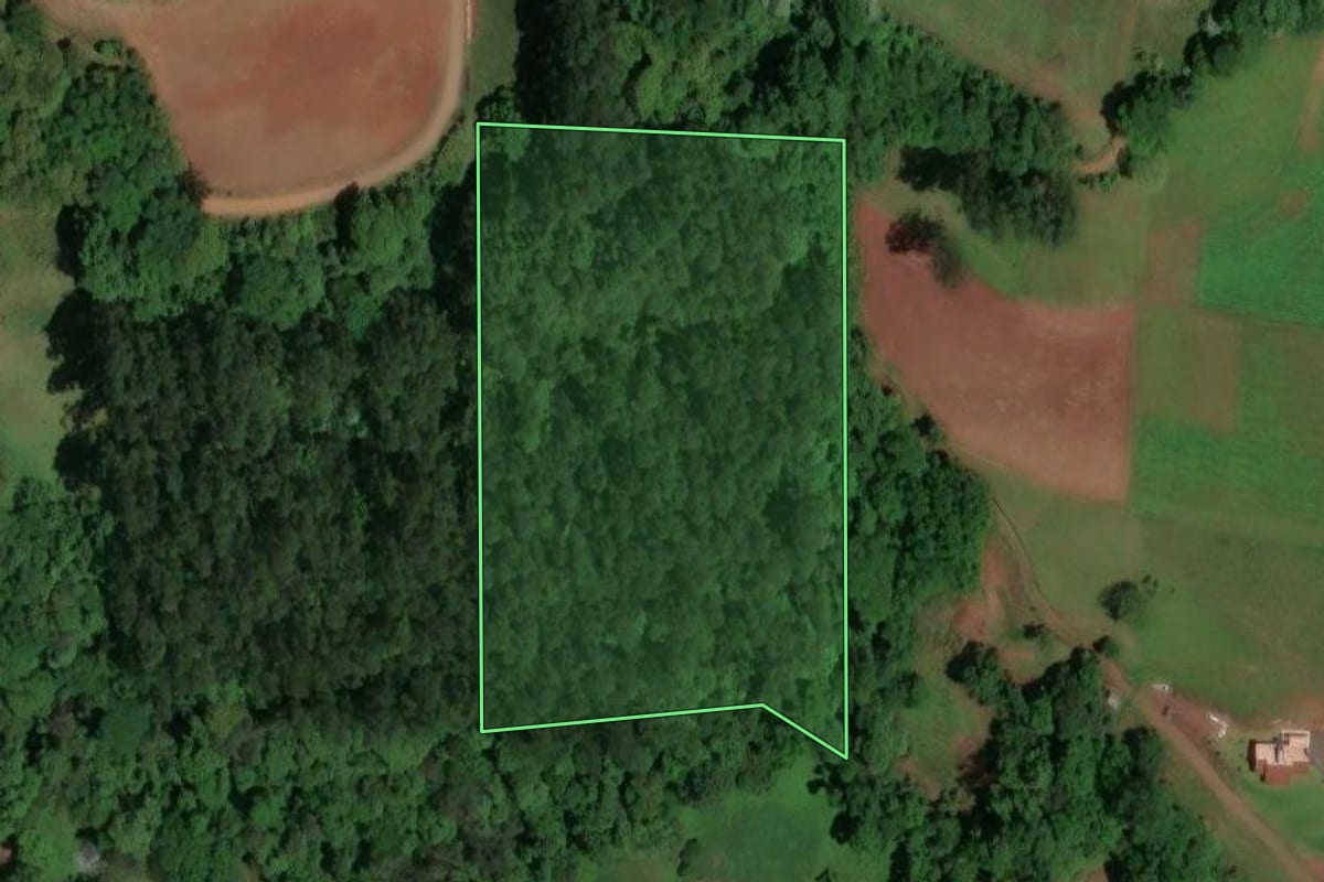 Imagem de satélite do imóvel rural em Saudades (SC), com o contorno declarado no CAR desenhado por cima.