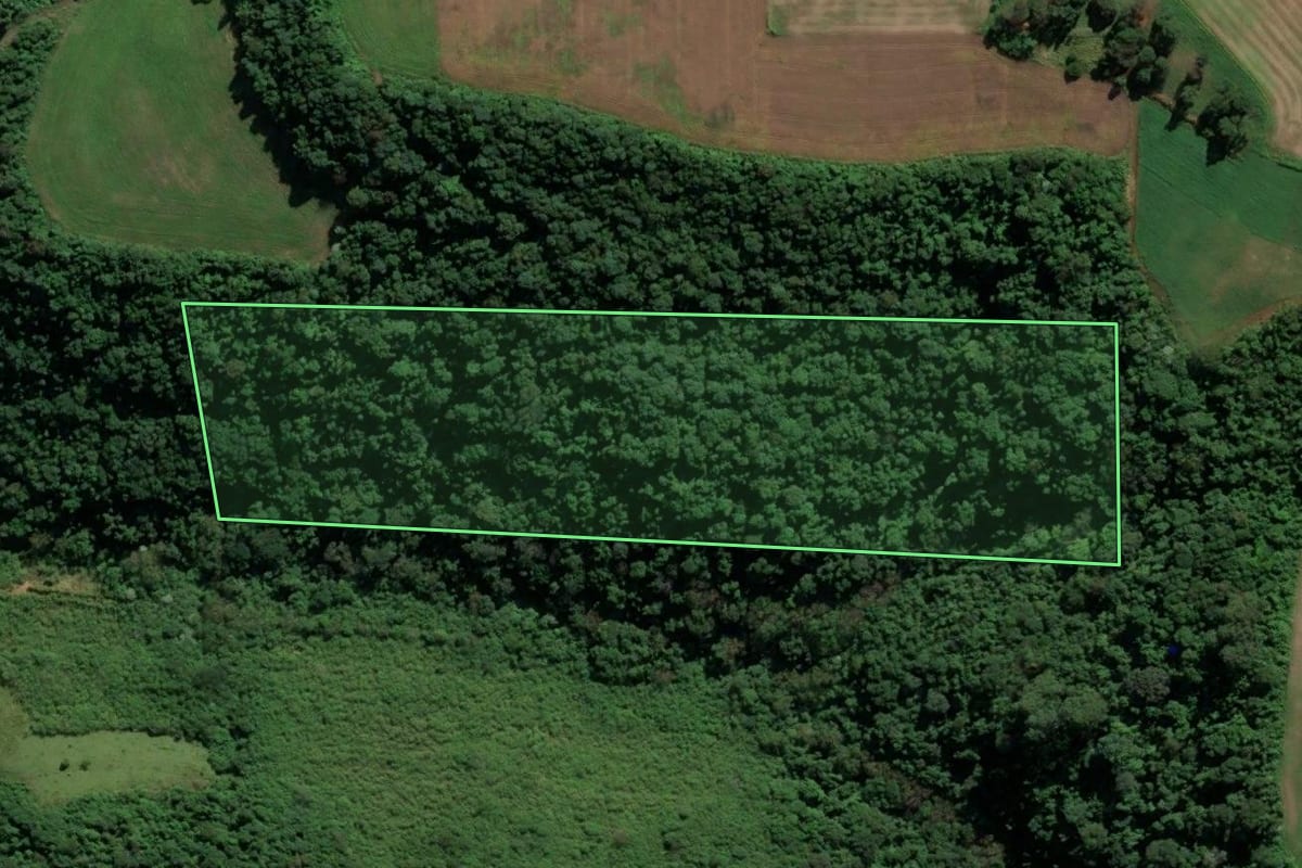 Imagem de satélite do imóvel rural em Saudades (SC), com o contorno declarado no CAR desenhado por cima.