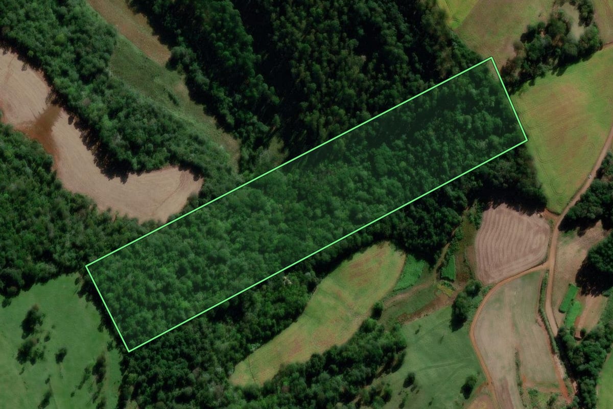 Imagem de satélite do imóvel rural em Saudades (SC), com o contorno declarado no CAR desenhado por cima.