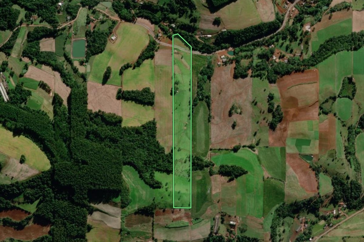 Imagem de satélite do imóvel rural em Saudades (SC), com o contorno declarado no CAR desenhado por cima.