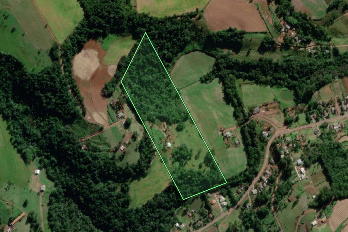 Imagem de satélite do imóvel rural em Saudades (SC), com o contorno declarado no CAR desenhado por cima.
