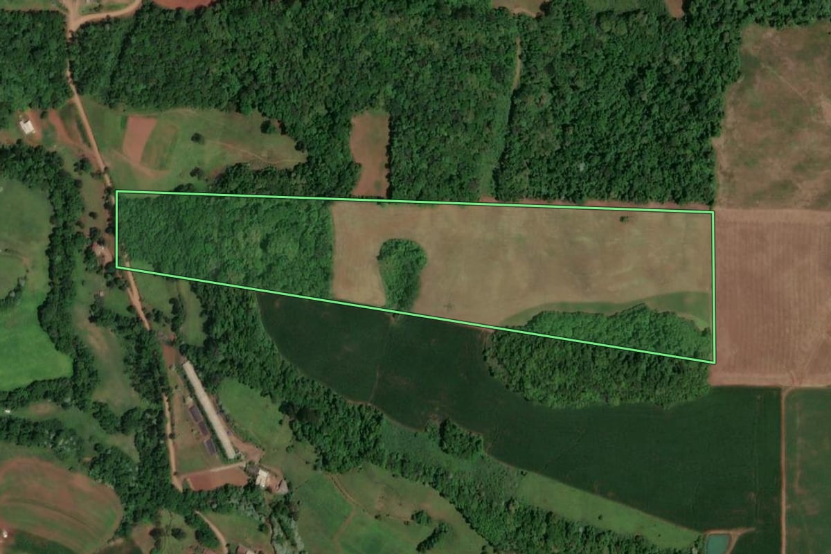 Imagem de satélite do imóvel rural em Saudades (SC), com o contorno declarado no CAR desenhado por cima.