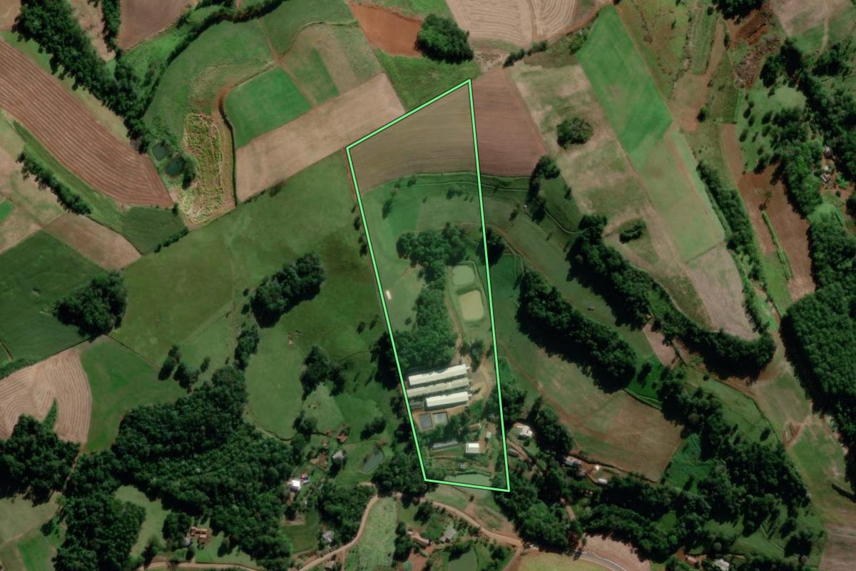 Imagem de satélite do imóvel rural em Saudades (SC), com o contorno declarado no CAR desenhado por cima.