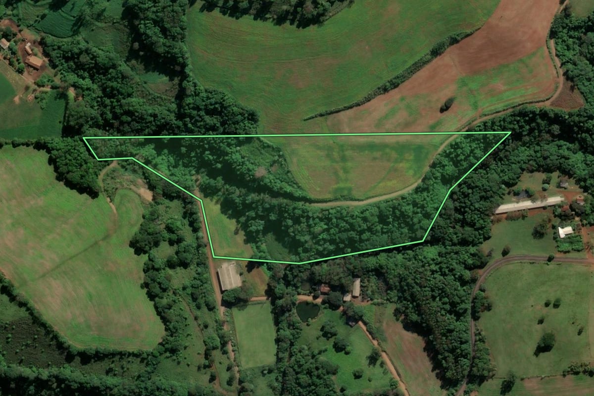 Imagem de satélite do imóvel rural em Saudades (SC), com o contorno declarado no CAR desenhado por cima.