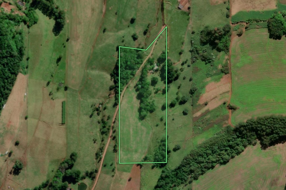 Imagem de satélite do imóvel rural em Saudades (SC), com o contorno declarado no CAR desenhado por cima.
