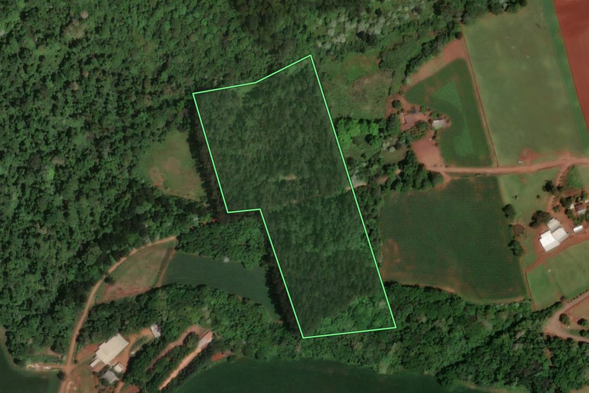 Imagem de satélite do imóvel rural em Saudades (SC), com o contorno declarado no CAR desenhado por cima.
