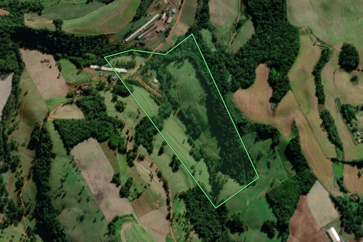Imagem de satélite do imóvel rural em Saudades (SC), com o contorno declarado no CAR desenhado por cima.