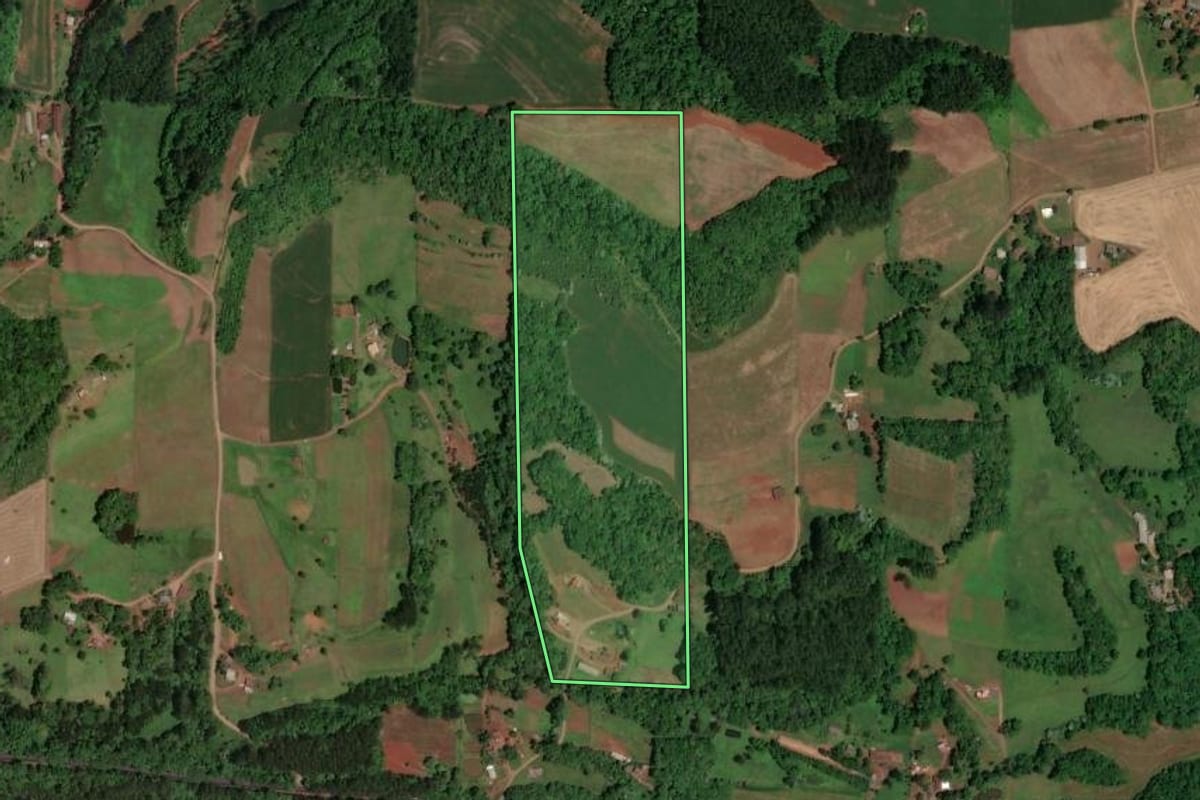 Imagem de satélite do imóvel rural em Saudades (SC), com o contorno declarado no CAR desenhado por cima.
