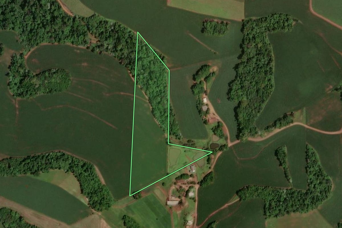 Imagem de satélite do imóvel rural em Saudades (SC), com o contorno declarado no CAR desenhado por cima.