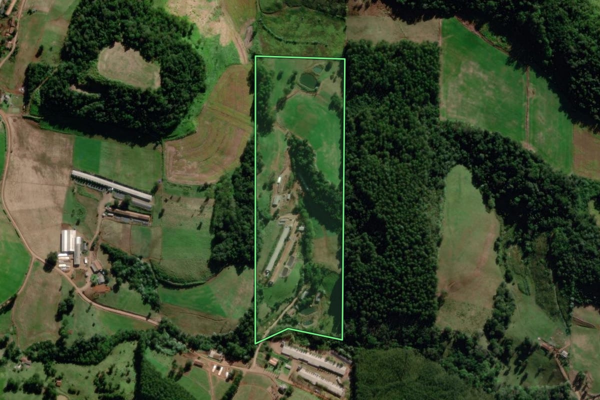 Imagem de satélite do imóvel rural em Saudades (SC), com o contorno declarado no CAR desenhado por cima.