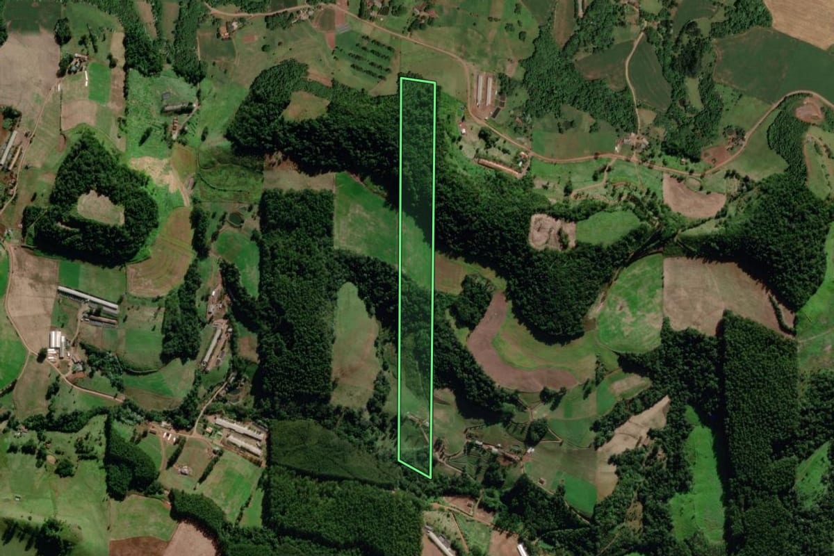 Imagem de satélite do imóvel rural em Saudades (SC), com o contorno declarado no CAR desenhado por cima.