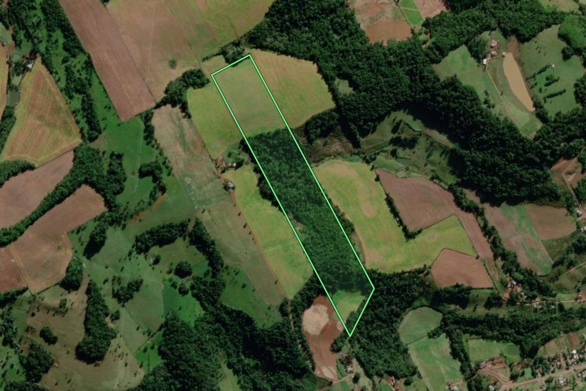Imagem de satélite do imóvel rural em Saudades (SC), com o contorno declarado no CAR desenhado por cima.