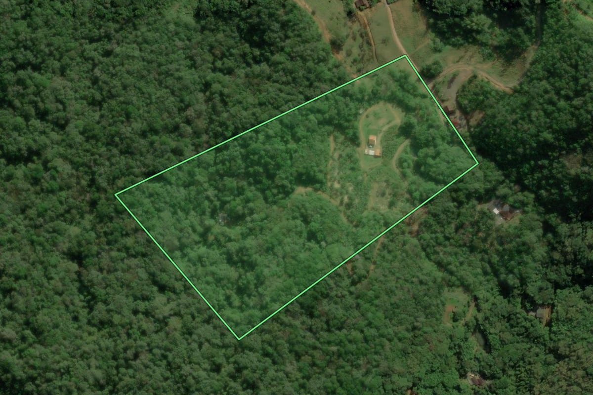 Imagem de satélite do imóvel rural em Schroeder (SC), com o contorno declarado no CAR desenhado por cima.