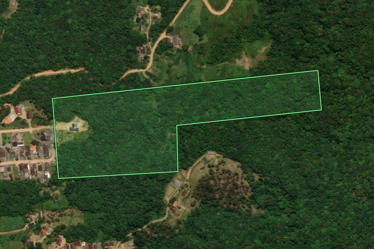Imagem de satélite do imóvel rural em Schroeder (SC), com o contorno declarado no CAR desenhado por cima.