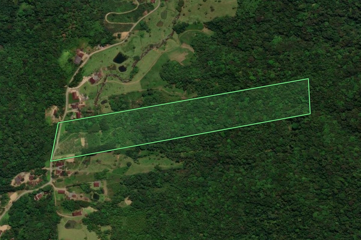 Imagem de satélite do imóvel rural em Schroeder (SC), com o contorno declarado no CAR desenhado por cima.