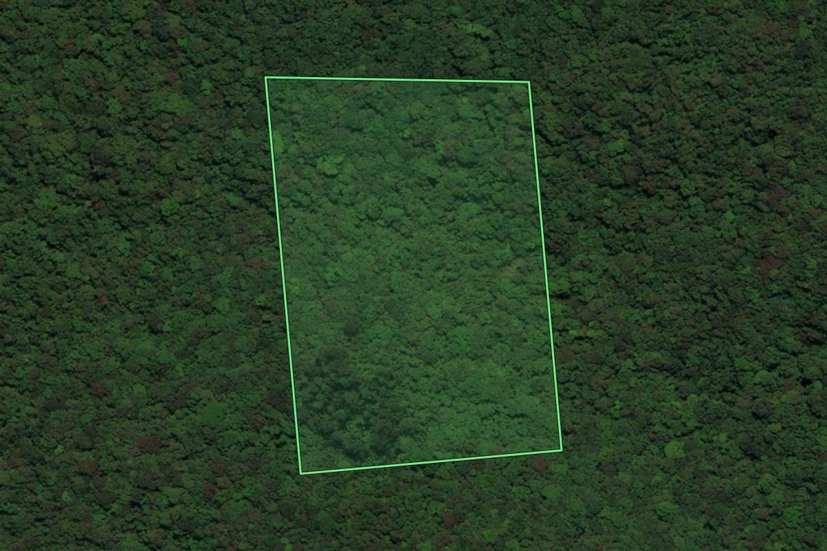 Imagem de satélite do imóvel rural em Schroeder (SC), com o contorno declarado no CAR desenhado por cima.