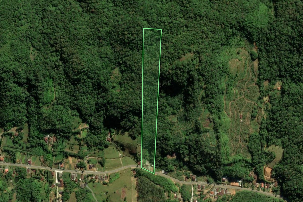 Imagem de satélite do imóvel rural em Schroeder (SC), com o contorno declarado no CAR desenhado por cima.