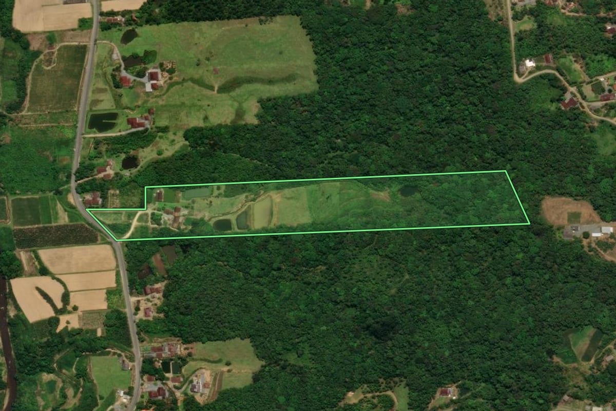 Imagem de satélite do imóvel rural em Schroeder (SC), com o contorno declarado no CAR desenhado por cima.