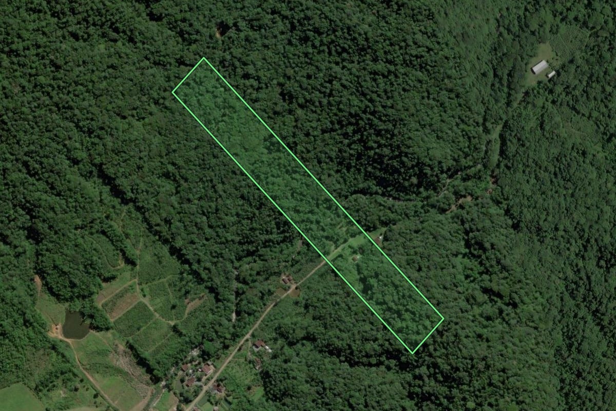 Imagem de satélite do imóvel rural em Schroeder (SC), com o contorno declarado no CAR desenhado por cima.
