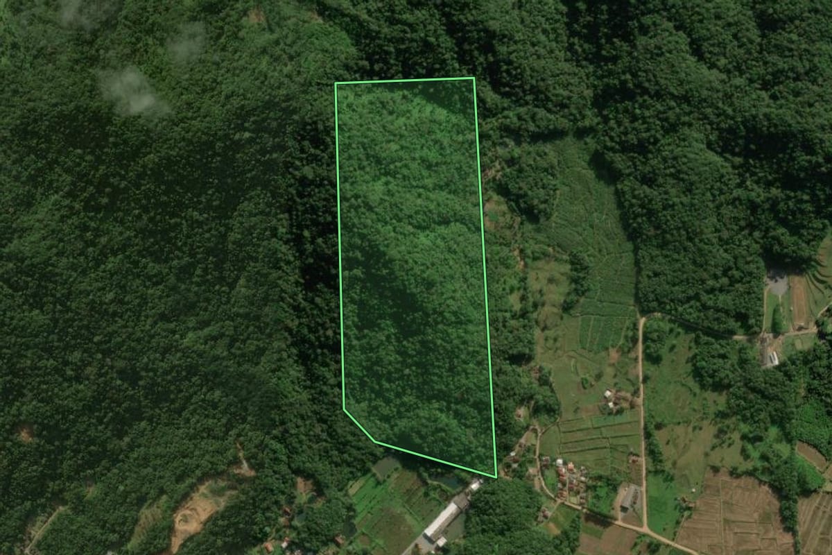Imagem de satélite do imóvel rural em Schroeder (SC), com o contorno declarado no CAR desenhado por cima.