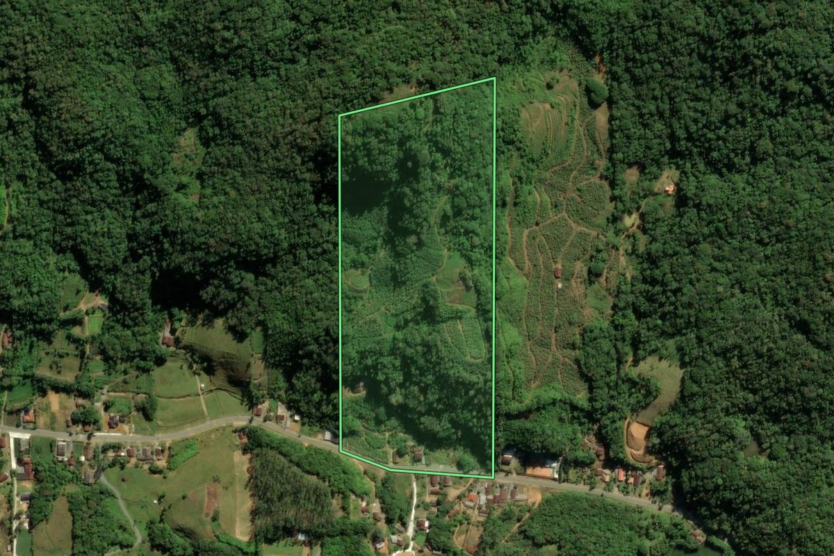 Imagem de satélite do imóvel rural em Schroeder (SC), com o contorno declarado no CAR desenhado por cima.
