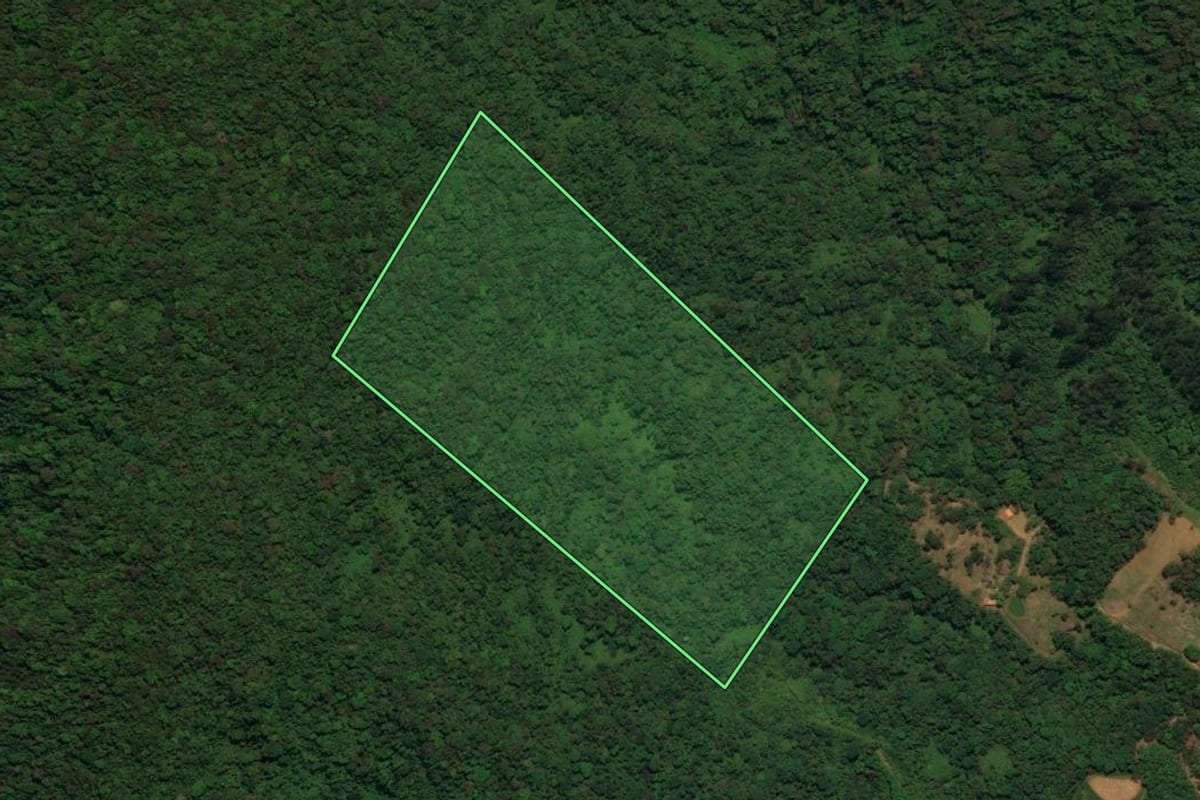 Imagem de satélite do imóvel rural em Schroeder (SC), com o contorno declarado no CAR desenhado por cima.