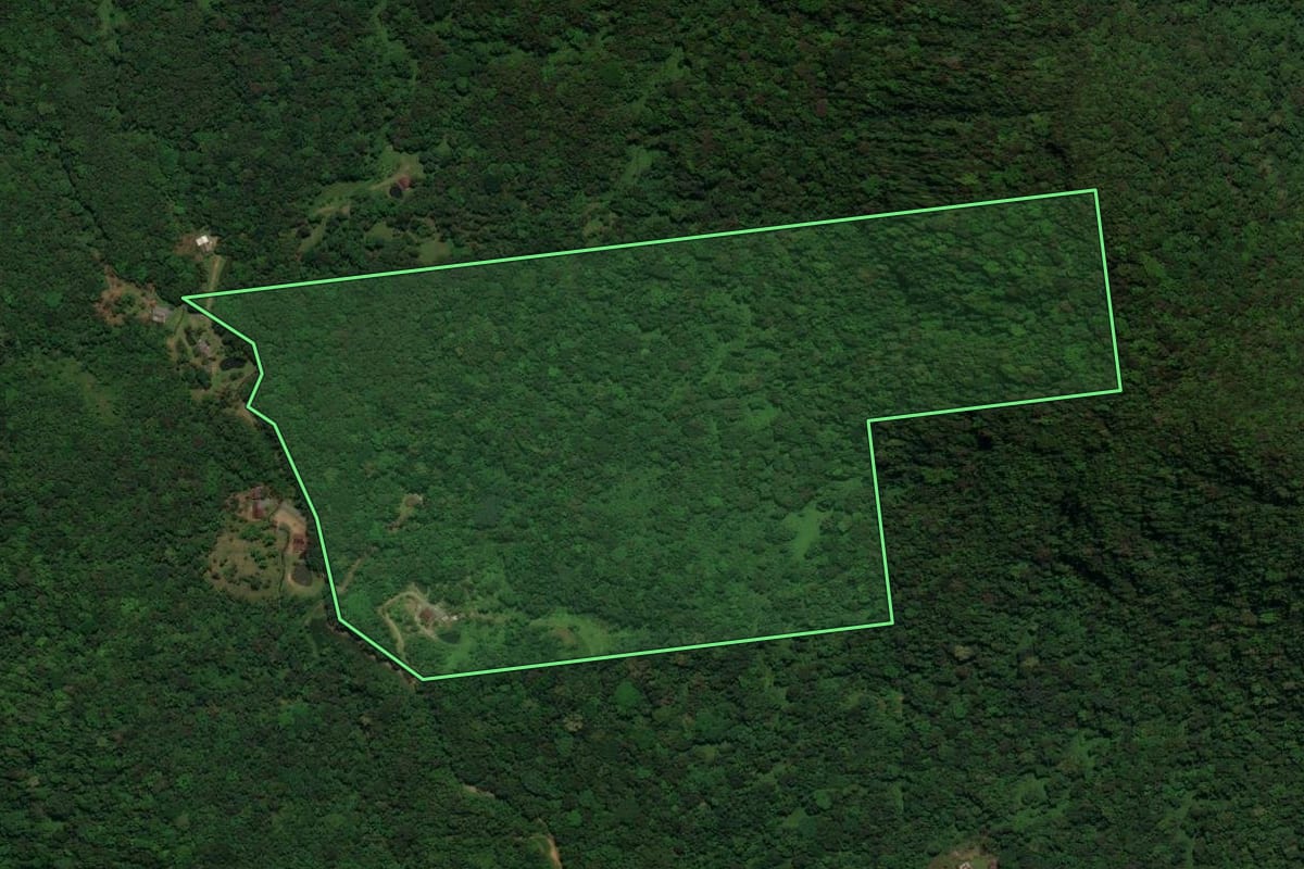 Imagem de satélite do imóvel rural em Schroeder (SC), com o contorno declarado no CAR desenhado por cima.