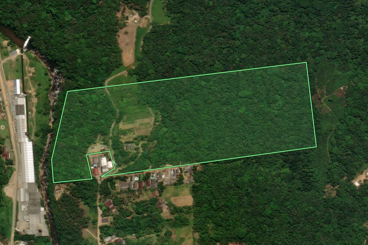 Imagem de satélite do imóvel rural em Schroeder (SC), com o contorno declarado no CAR desenhado por cima.