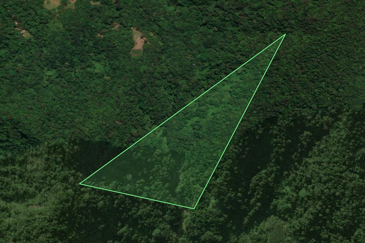 Imagem de satélite do imóvel rural em Schroeder (SC), com o contorno declarado no CAR desenhado por cima.