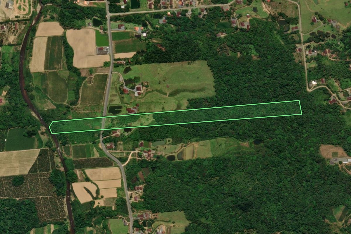 Imagem de satélite do imóvel rural em Schroeder (SC), com o contorno declarado no CAR desenhado por cima.