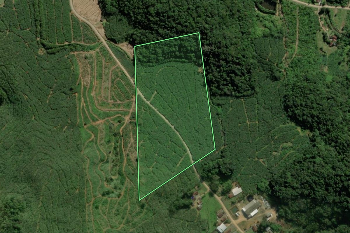 Imagem de satélite do imóvel rural em Schroeder (SC), com o contorno declarado no CAR desenhado por cima.